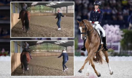 马视频,探寻马儿风采的视觉盛宴